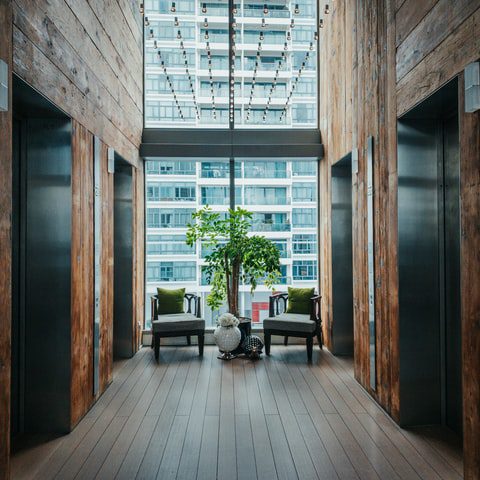 Photo by Shawn Ang on Unsplash